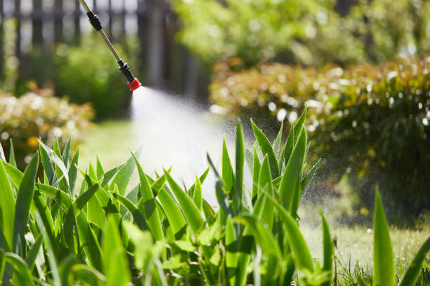 24/7 Emergency Wasp Removal experts in Waterloo, IL