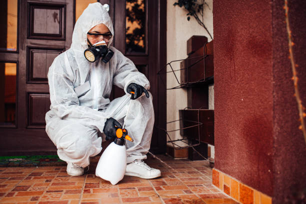 Reliable Wasp Removal contractor in Waterloo, IL by Show Me Pest Control