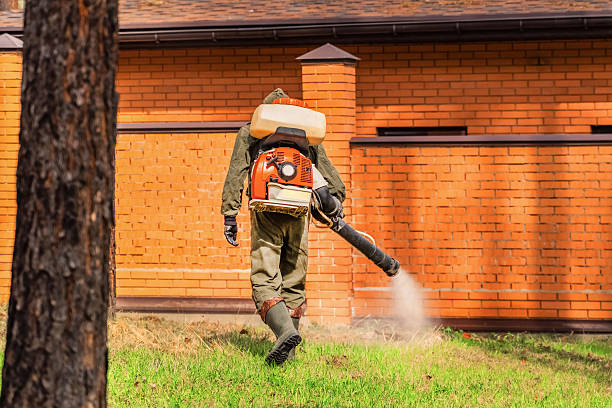Top rated local Wasp Removal specialists in Waterloo, IL